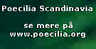 Poecilia Scandinavia